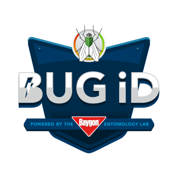 Bug-ID